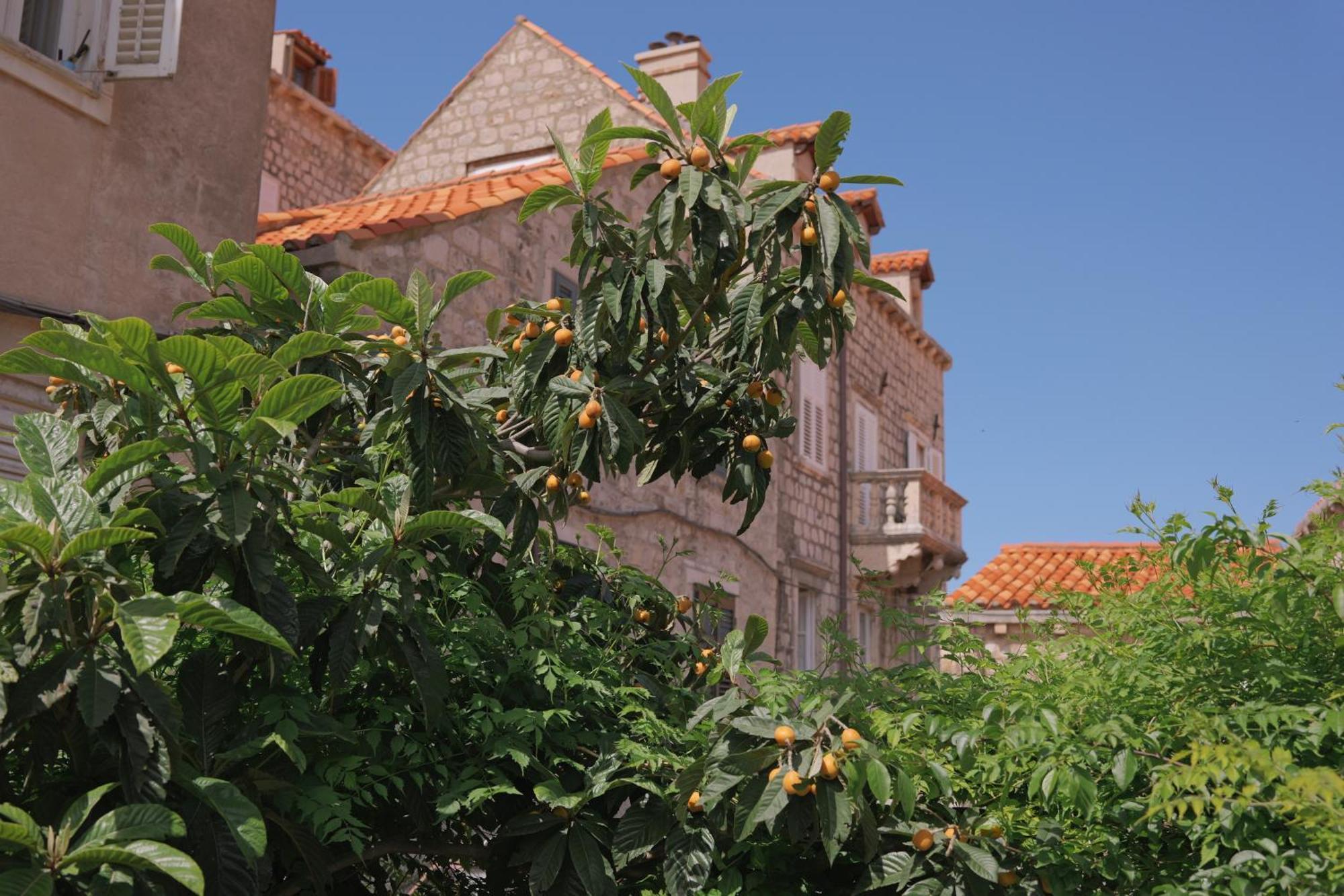 Old Town Green Oasis House Dubrovnik Exterior foto